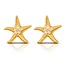Goodies Label goodies Label Starfishs