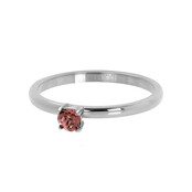 iXXXi Vulring Sorel