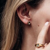 iXXXi Oorbellen Sorel Drop
