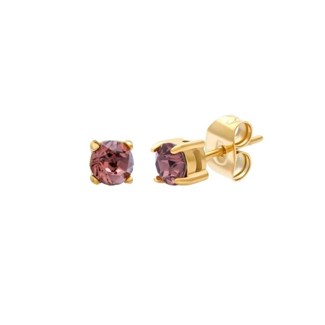 iXXXi Oorbellen Sorel Round