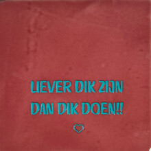 'liever dik zijn dan dik doen' roze/turquoise