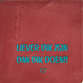 'liever dik zijn dan dik doen' roze/turquoise
