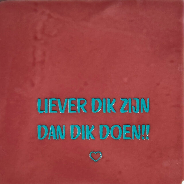 'liever dik zijn dan dik doen' roze/turquoise