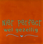niet perfect wel gezellig oranje/mint(warmblauw)