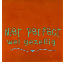 niet perfect wel gezellig oranje/mint(warmblauw)