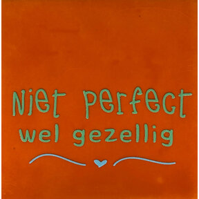 niet perfect wel gezellig oranje/mint(warmblauw)