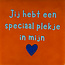 Yett jij hebt een speciaal plekje in mijn hart oranje/warmblauw(kobaltblauw)
