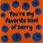 you're my favorite kind of berry oranje/multi