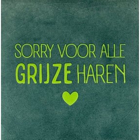 'sorry voor alle grijze haren' zeegroen/lime
