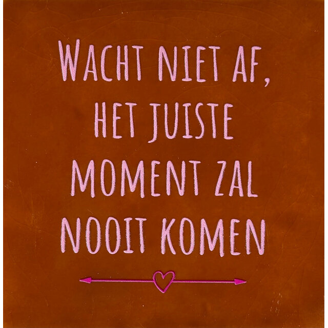 wacht niet af, het juiste moment zal nooit komen terra/babyroze(knalroze)