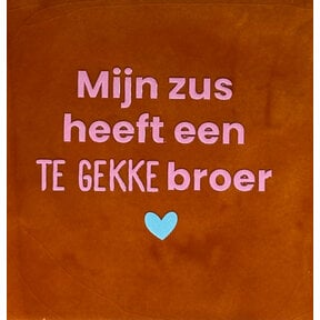 'mijn zus heeft een te gekke broer' terra/warmroze(warmblauw)