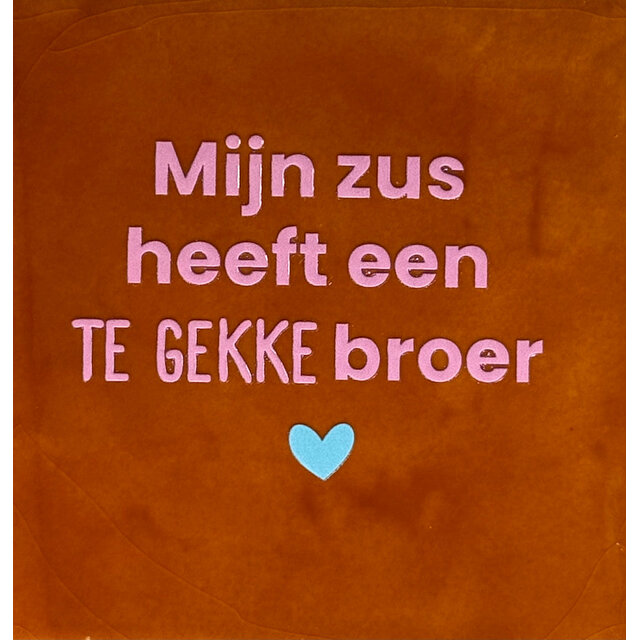 'mijn zus heeft een te gekke broer' terra/warmroze(warmblauw)