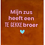 Yett 'mijn zus heeft een te gekke broer' terra/warmroze(warmblauw)