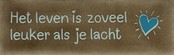 DO het leven is zoveel leuker als je lacht taupe/lichtgroen(turquoise)