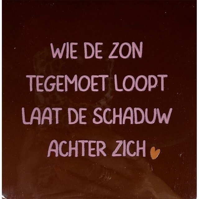 wie de zon tegemoet loop laat de schaduw achter zich kastanje/warmroze(oranje)