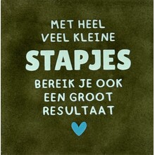 met heel veel kleine stapjes… olijf/lichtgroen(turquoise)