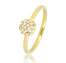 Gouden ring met zirkonia - Minimalistisch Stainless steel ontwerp