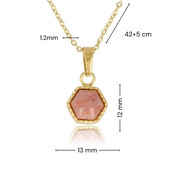 Gouden ketting met Rhodonite zeshoek hanger