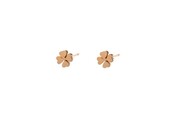 Little Clover Oorbellen E8840-2
