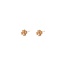 Day & Eve Little Clover Oorbellen E8840-2
