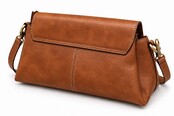 BAG2BAG Model Inari