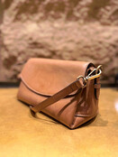 BAG2BAG Model Inari