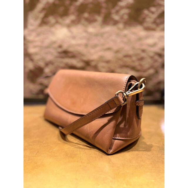 BAG2BAG Model Inari
