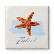Goodies Label Tegeltje Zeeland Zeester – 10 x 10 cm