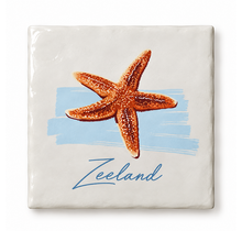 Goodies Label Tegeltje Zeeland Zeester – 10 x 10 cm