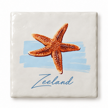 Goodies Label Tegeltje Zeeland Zeester – 10 x 10 cm