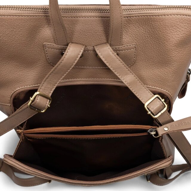 BAG2BAG Model Civita