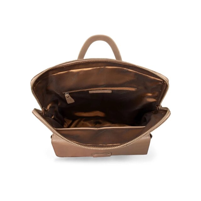 BAG2BAG Model Civita