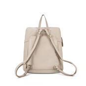 BAG2BAG Model Civita