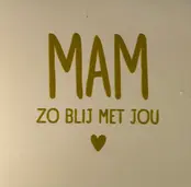 Quote tegeltje 'mam zo blij met jou' creme/goud