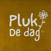 Quote tegeltje pluk de dag oker/creme(goud)