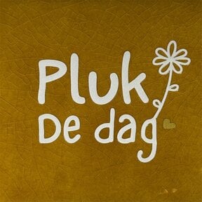 Quote tegeltje pluk de dag oker/creme(goud)