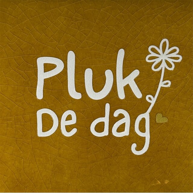 Quote tegeltje pluk de dag oker/creme(goud)