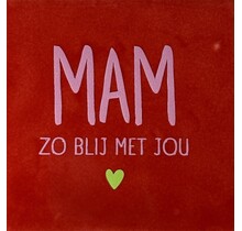 Mam zo blij met jou – keramieken quote tegeltje rood/warmroze (lime)