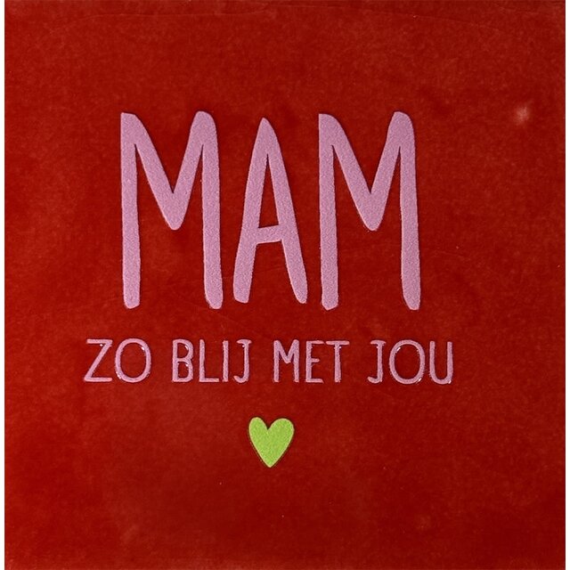 Mam zo blij met jou – keramieken quote tegeltje rood/warmroze (lime)