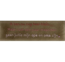 DO Ik ben nu nog heel klein… maar over een paar maanden gaan jullie mijn opa en oma zijn – Taupe