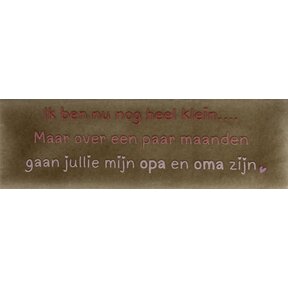 DO Ik ben nu nog heel klein… maar over een paar maanden gaan jullie mijn opa en oma zijn – Taupe