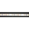 IP20 Cool White 60led blanc pcb 5m