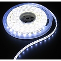 White to Warm White set 120led 7-8 lumens white pcb 5m IP65