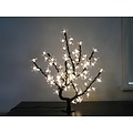 LED Cherry Blossom Sapling in Green, Purple and Warm White