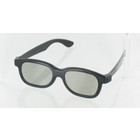 Real D polarized 3D Glasses