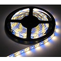 bande de LED RGB+WW 60LED p / m 5m IP65