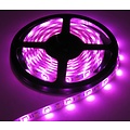 RGB + W LED Strip 60led p / m 5m IP65