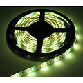 RGB + W LED Strip 60led p / m 5m IP65