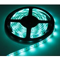 RGB + W LED Strip 60led p / m 5m IP65