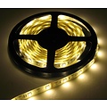 RGB+WW LED Strip 60led p/m 5 meter IP65